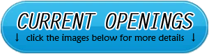 Current Openings Button